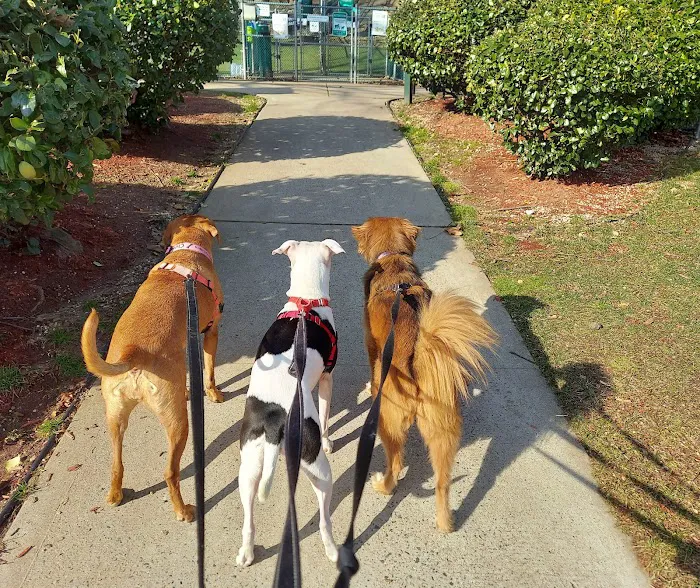 Glen Oaks Village Enchanted Forest Dog Park - Private 7
