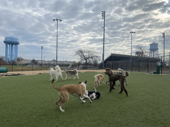 Tully Dog Park 2