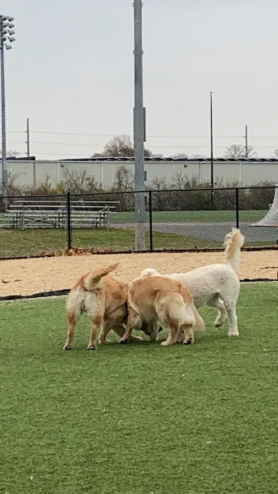 Tully Dog Park 7