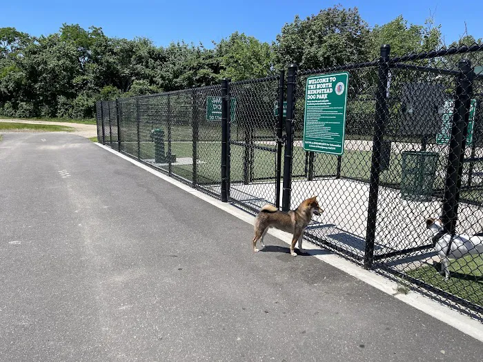 Tully Dog Park 9