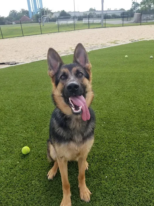 Tully Dog Park 5