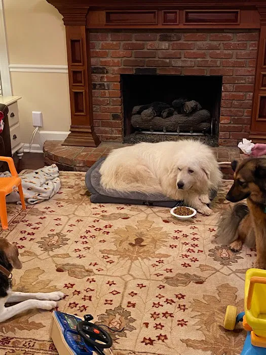 Petco 3