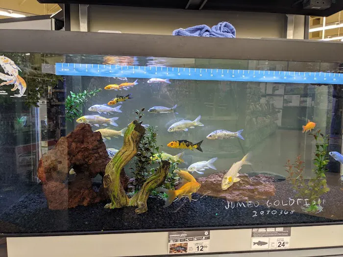 Petco 2