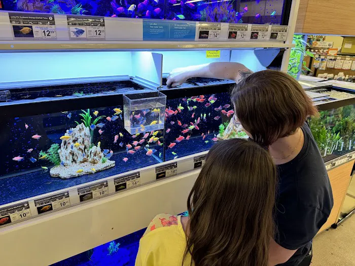 Petco 9