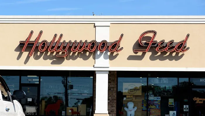Hollywood Feed 5
