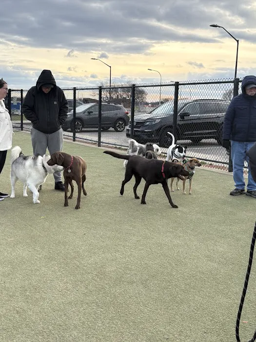 Bay Park Dog Park 7