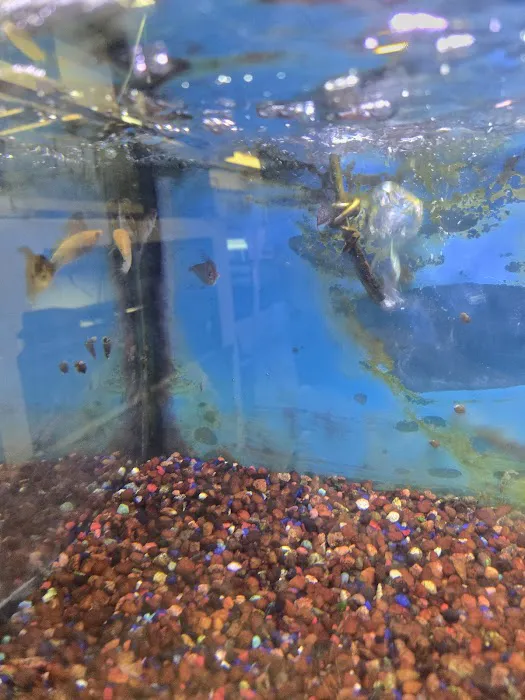 Classic Sea World 8