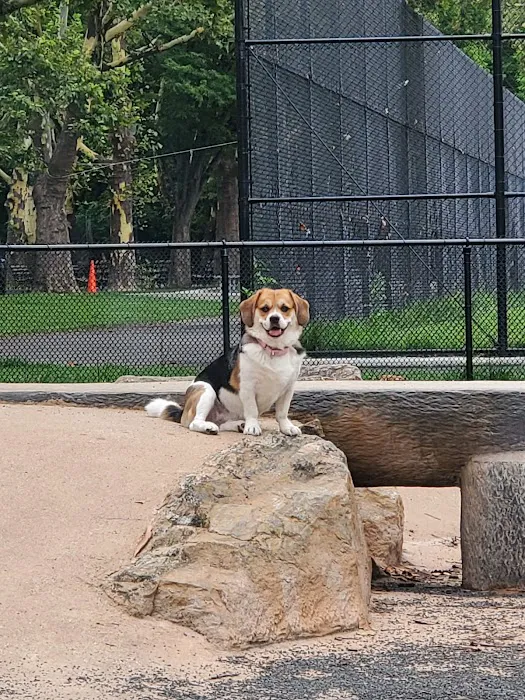 St. Mary's Dog Run 2