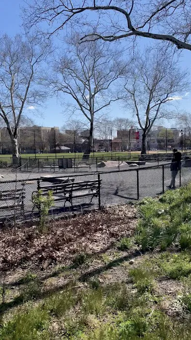 St. Mary's Dog Run 3