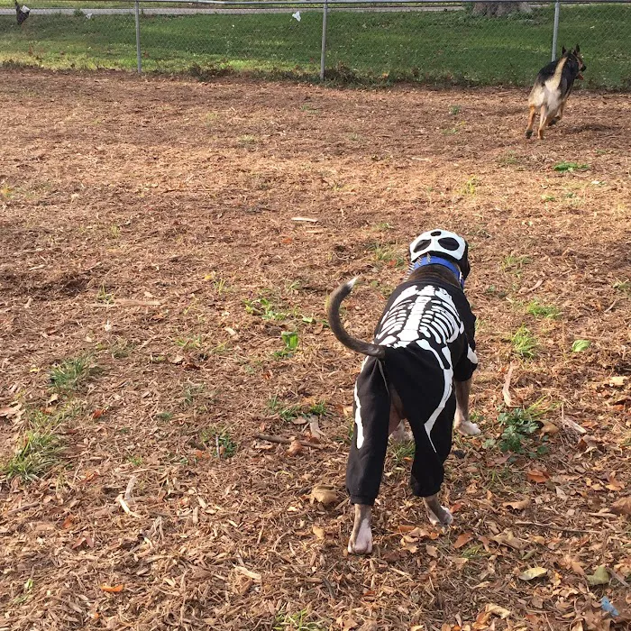 St. Mary's Dog Run 6