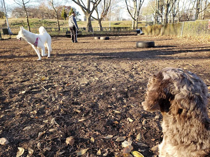 St. Mary's Dog Run 8