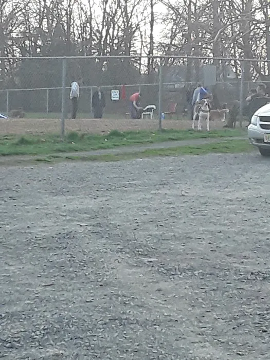 Woodbridge Dog Park 1