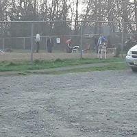 Woodbridge Dog Park ico