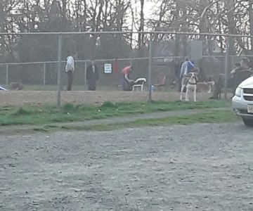 Woodbridge Dog Park