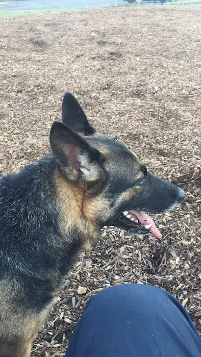 Woodbridge Dog Park 3