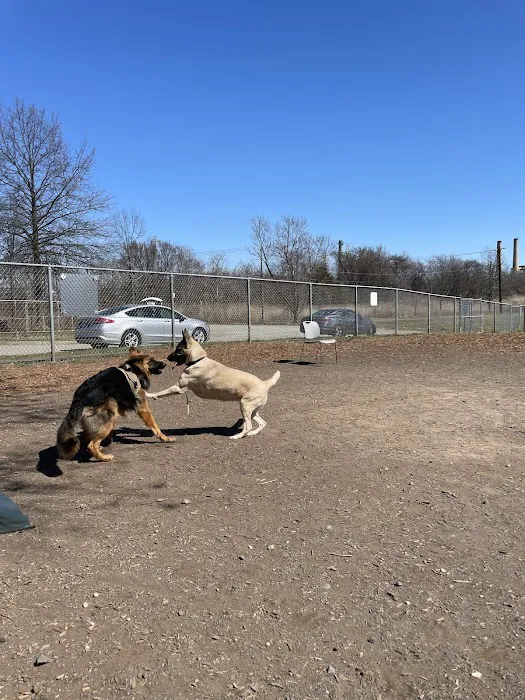 Woodbridge Dog Park 7