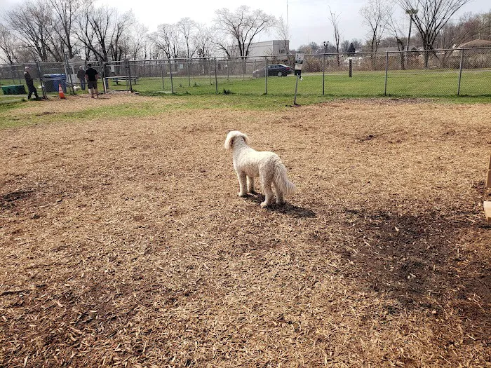 Woodbridge Dog Park 10