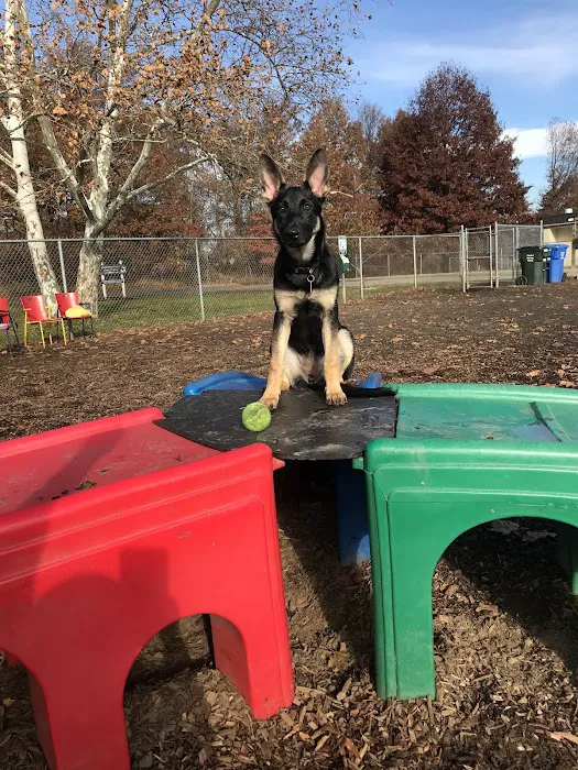 Woodbridge Dog Park 9