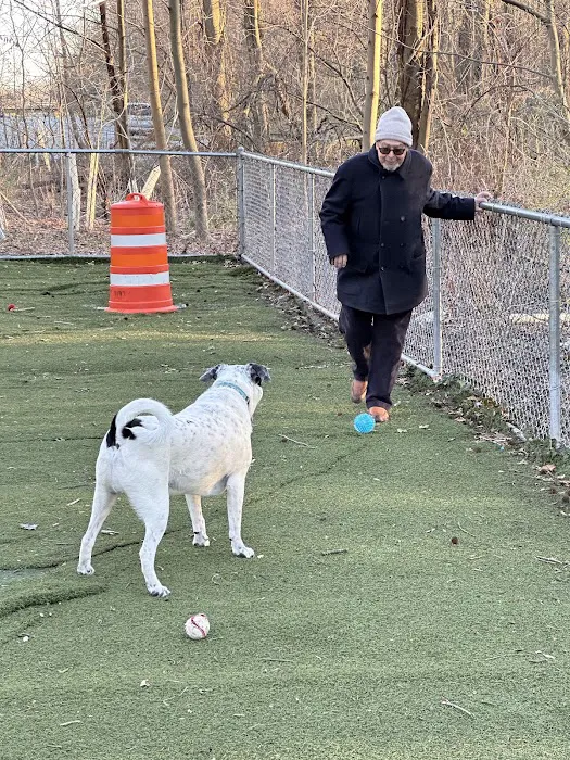 Bloomingdale Dog Run 2
