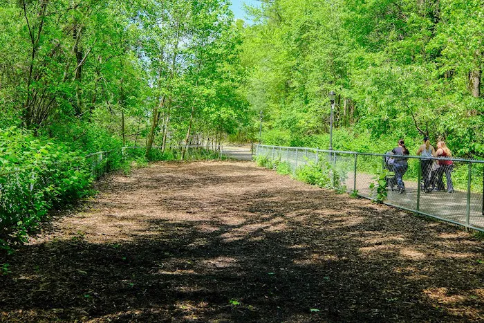 Bloomingdale Dog Run 9
