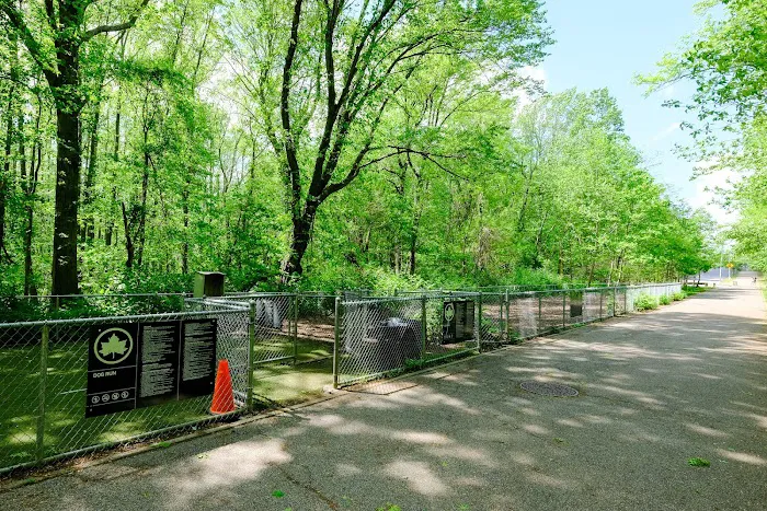 Bloomingdale Dog Run 10