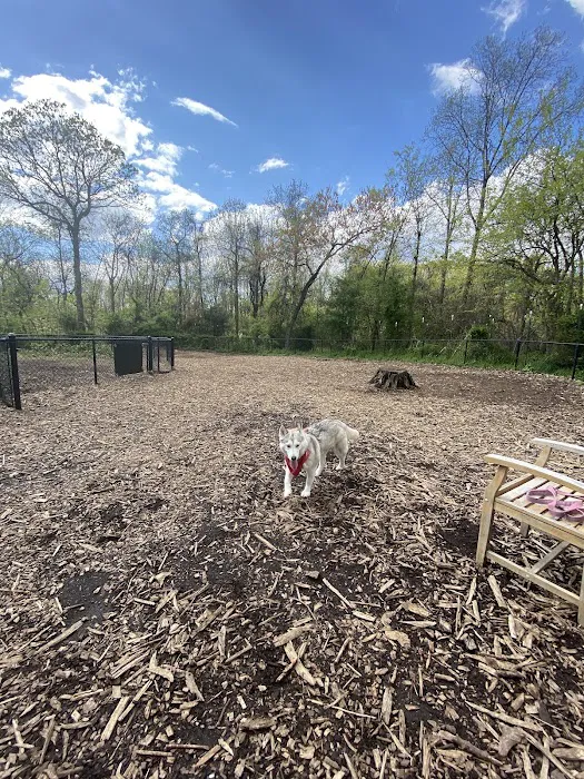 Conference House Dog Park 5