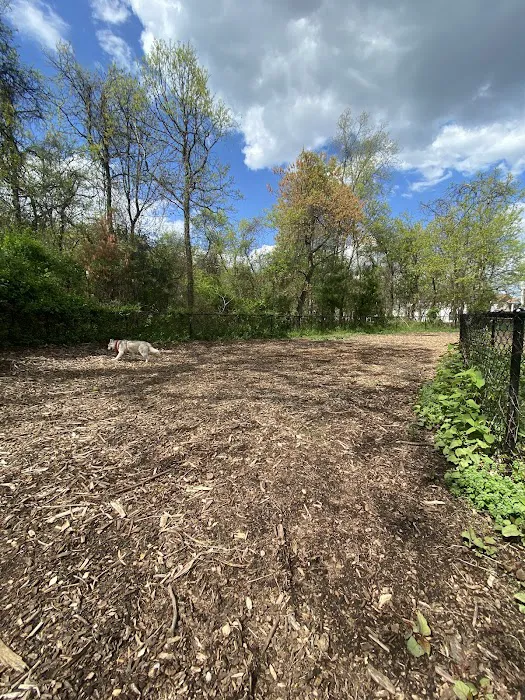 Conference House Dog Park 10