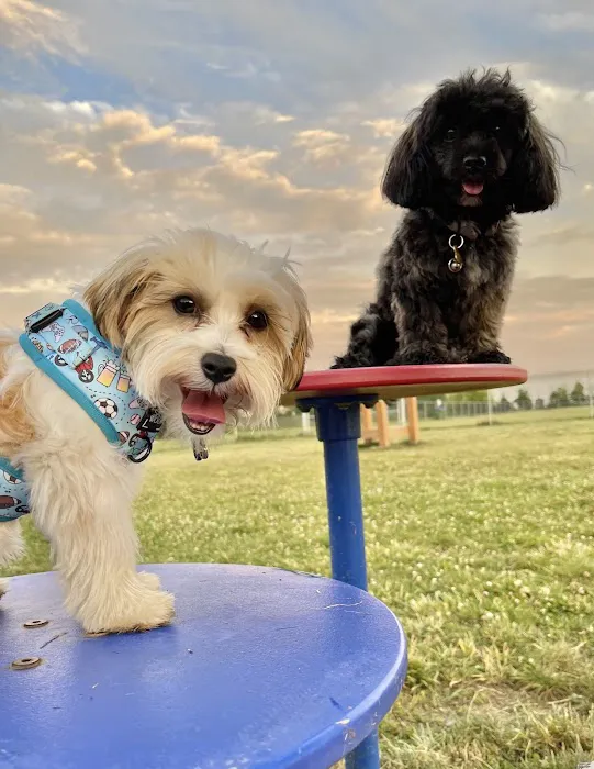 Edison-Metuchen Community Dog Park 6