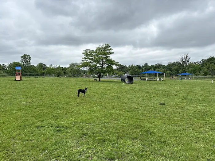 Edison-Metuchen Community Dog Park 2