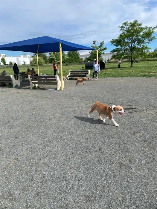 Edison-Metuchen Community Dog Park 4