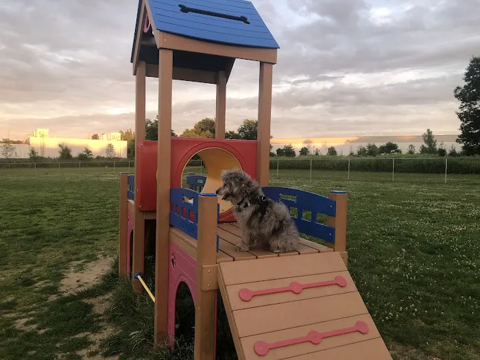 Edison-Metuchen Community Dog Park 3