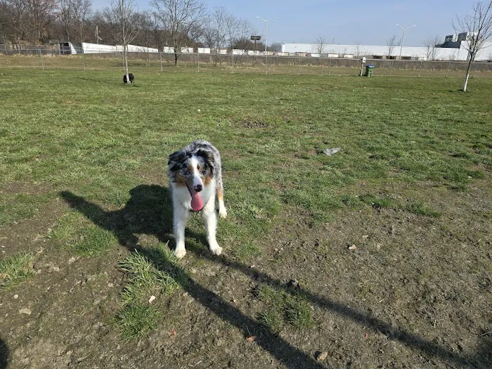 Edison-Metuchen Community Dog Park 5
