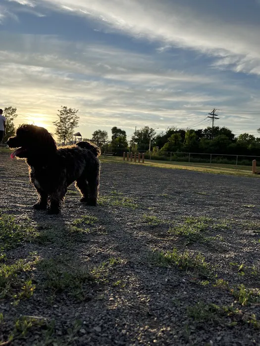 Edison-Metuchen Community Dog Park 8