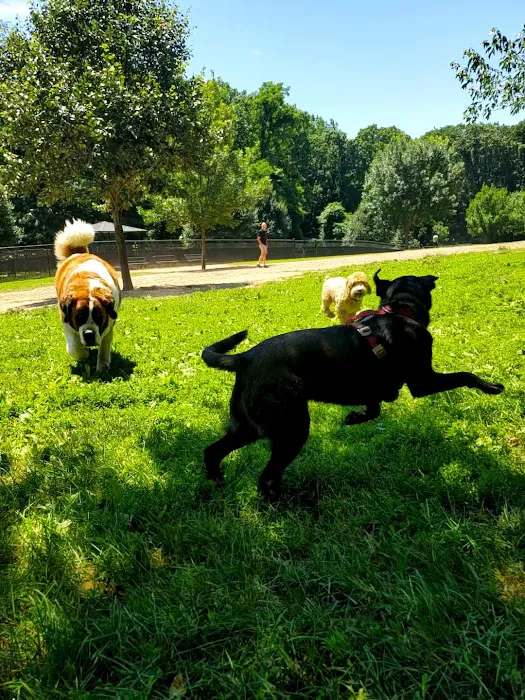 Echo Lake Dog Park 1