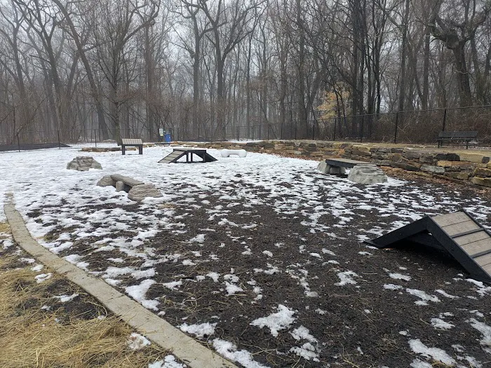 Echo Lake Dog Park 4