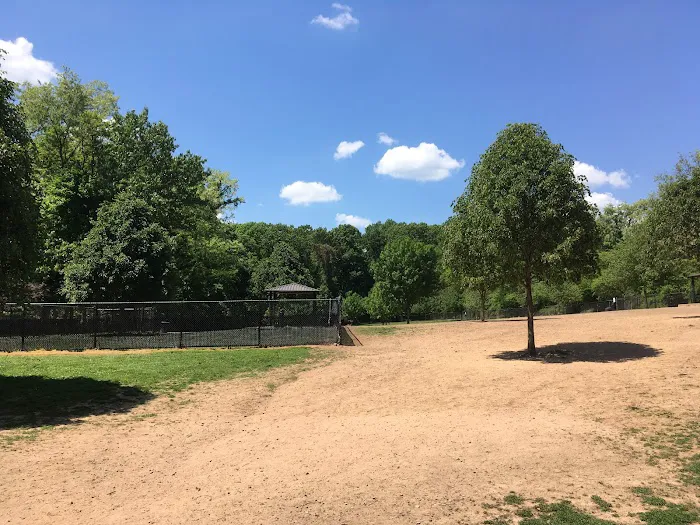 Echo Lake Dog Park 8