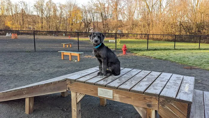 Echo Lake Dog Park 9