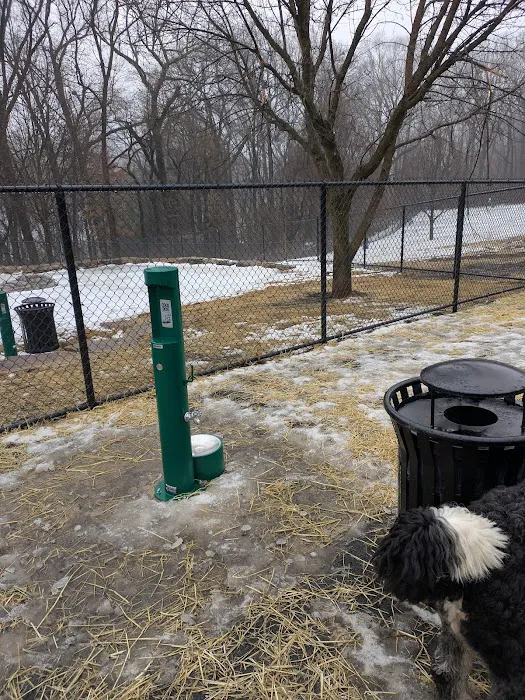 Echo Lake Dog Park 10