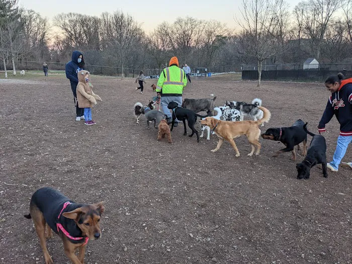 Echo Lake Dog Park 3