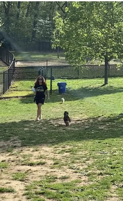 Echo Lake Dog Park 2