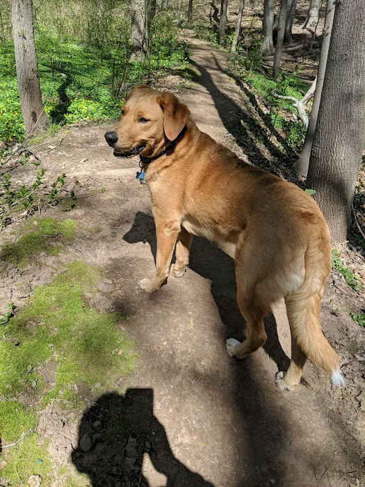Echo Lake Dog Park 1
