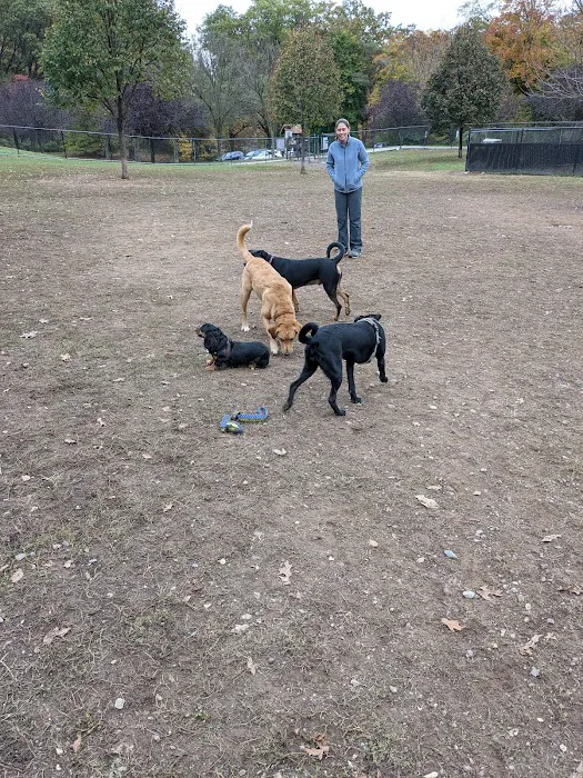 Echo Lake Dog Park 4
