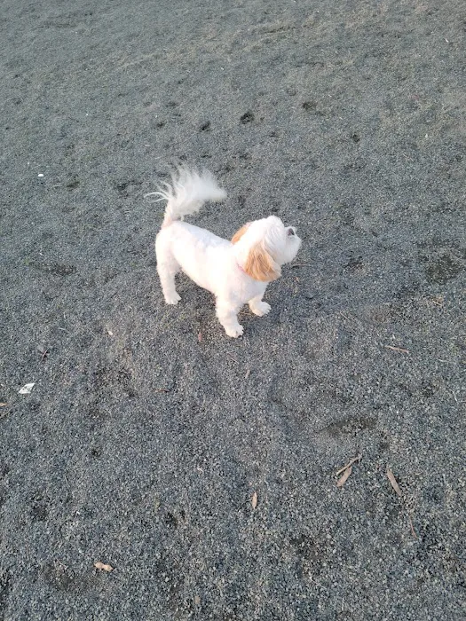 Southside Dog Park 3