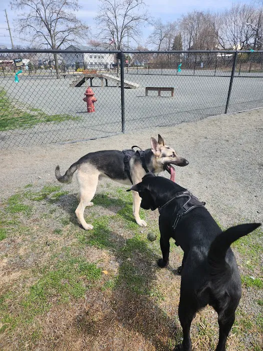 Southside Dog Park 4
