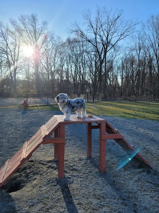 Southside Dog Park 5