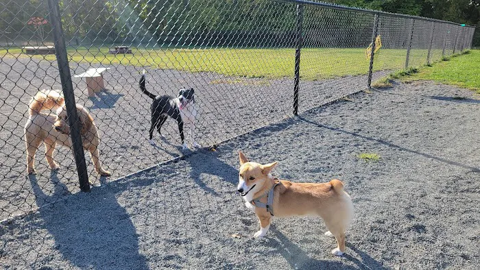 Southside Dog Park 6