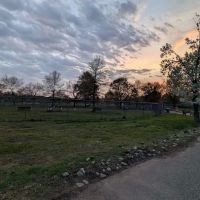 Donaldson Dog Park ico