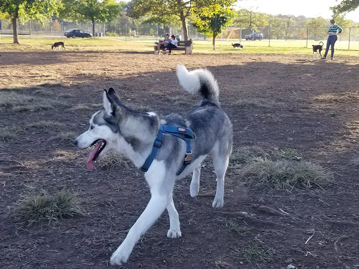 Donaldson Dog Park 2