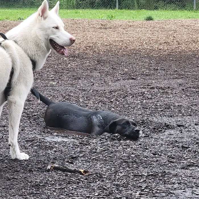 Donaldson Dog Park 5