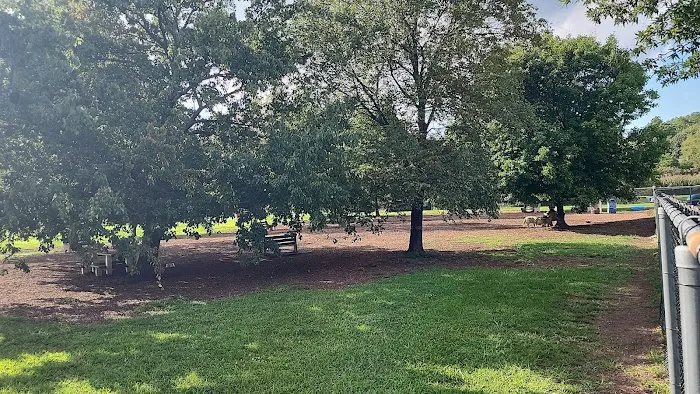 Donaldson Dog Park 6